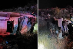 muertos coyotes choque Texas