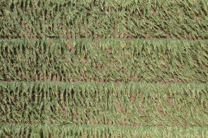 APTOPIX Puerto Rico Tropical Weather