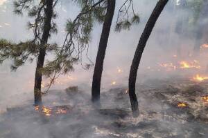Diamond Fire mantiene las evacuaciones en el Bosque Nacional Tonto
