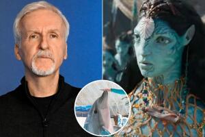 avatar-the-way-of-water-james-cameron-delfines.jpg