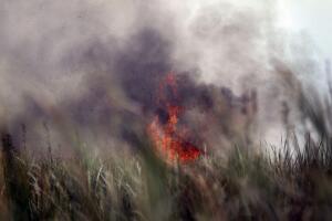El incendio ha sido difícil de controlar por los cambios de viento y la falta de lluvia en el sur de Miami-Dade.