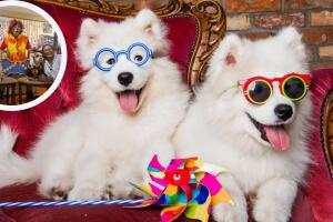 La extravagante fiesta para perros que se hizo viral en Internet hasta payaso tuvieron.jpg