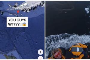 Captan extraña criatura en Google Maps.