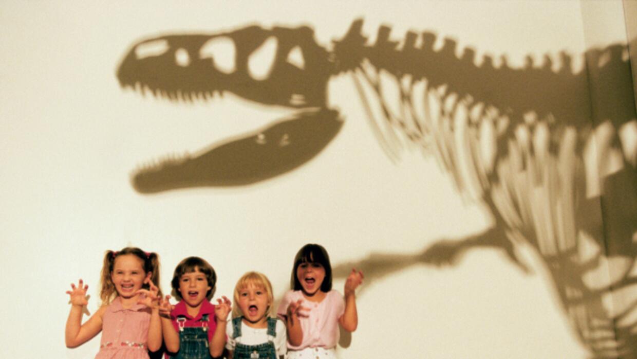 Nombres De Dinosaurios Carnivoros Explora Univision Nombres De Dinosaurios Carnivoros Explora Univision