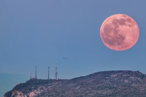La luna rosa