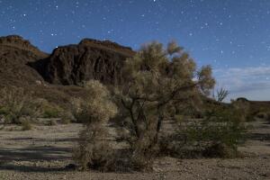Mojave Trails National Monument Under Review By Trump's EPA Dept. For Possible Downsizing