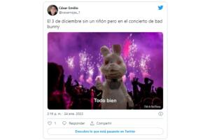 meme Bunny.jpg