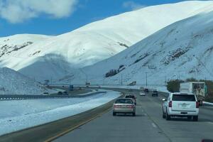 grapevine-snow-30.jpeg