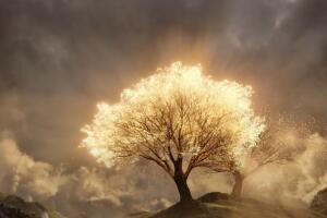 destruccion de los arboles the rings of power.jpg