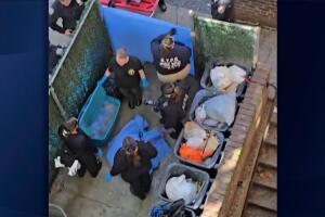 Arrestan a sospechoso tras hallazgo de cuerpo desmembrado en BrooklynArrestan a sospechoso tras hallazgo de cuerpo desmembrado en Brooklyn