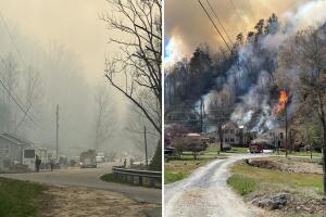 Mujer de 38 años enfrenta cargos por provocar un incendio forestal con su cigarro en Carolina del Norte
