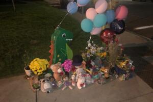 Niños mueren atropellados en Utah