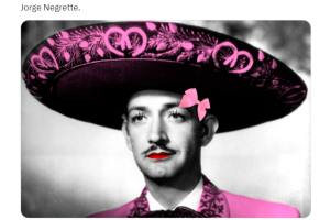 coquette-memes (5).png