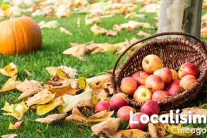 'Apple picking' cerca de Chicago: 6 lugares para recoger manzanas este otoño 