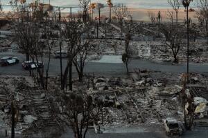 AP25016574608823 (1).jpg