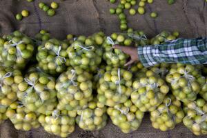 India World Environment Day