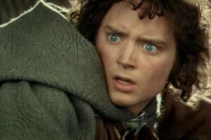 shocked-frodo_tlotr_scene.jpg