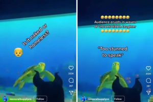 Turtule Talk with Crush IG (1).png