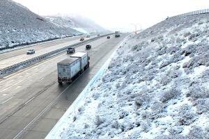 nieve-grapevine.jpg