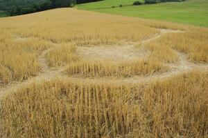 crop circles