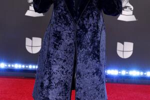 The 20th Annual Latin GRAMMY Awards - Social