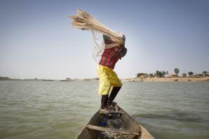 Pescador