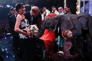 elefante 3.jpg