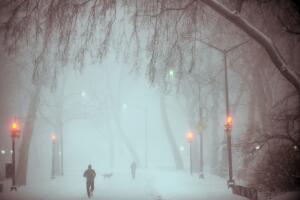 NY amanece totalmente blanca por tormenta de nieve