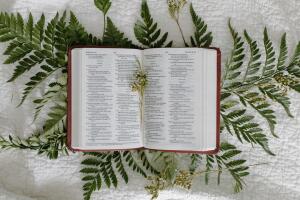 protección energética_salmo91