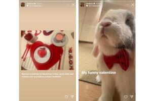 Estas fueron las imágenes que Shakira compartió la noche del Día de San Valentín. 