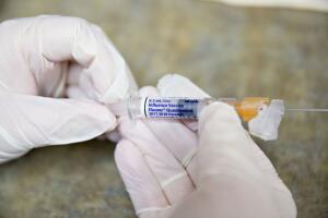 La semana pasada se registraron en Nueva York casi 8,000 casos y más de 1,700 hospitalizados por gripe