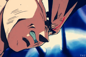 Vegeta Dragon Ball