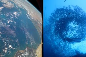 Punto Nemo, el lugar más inaccesible del planeta Tierra