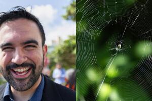 Mamdani Spiderweb Videos de la semana