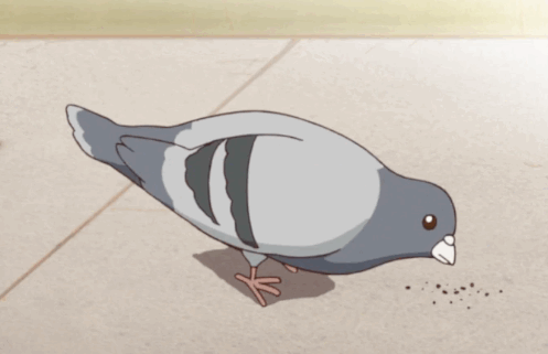 pomagiphy.gif