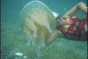 Una selfie con medusas