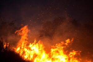 California Wildfires