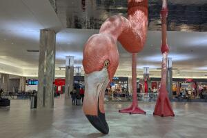 TPA Flamingo-1.jpg