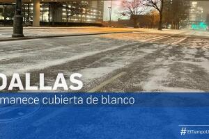 Dallas nieve promo