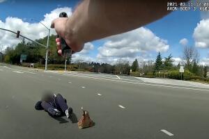 danville shooting 1.jpg