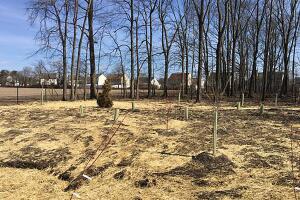 13. Watson Johnson Landfill