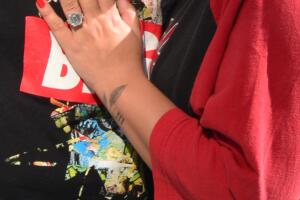 EXC Demi Lovato, fiancé Max Ehrich