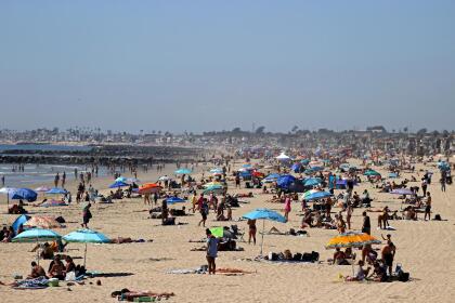 Coronavirus: Ignoran regla de distancia social y acuden en masa a esta playa de California 9 Las autoridades del condado de Orange recuerdan a sus visitantes que los estacionamientos de las playas están cerrados.
