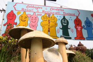 cabagge.jpg