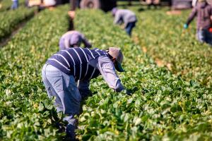 SB 227 en California: Ayuda económica para trabajadores indocumentados afectados por desastres