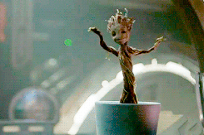 Groot bailando