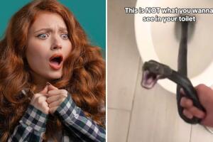 collage_septiembre_inodoro