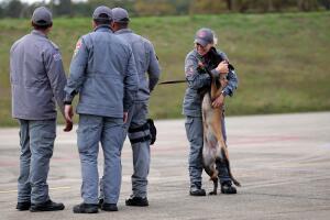 Brazil Venezuela Earthquake