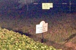 Cosas insólitas que solo se ven en Florida