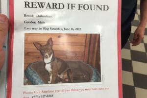 Chiquito regresa a casa